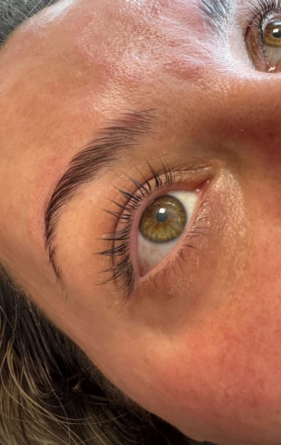 Wimpern und Augenbrauen direkt nach Lash- und Browlifting