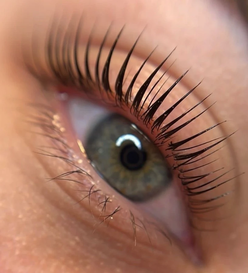 Wimpern nach dem Lashlifting, natürlich geschwungen ohne Extensions